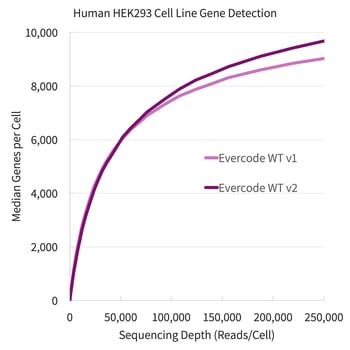 Human HEK293 Cell Line Gene Detection