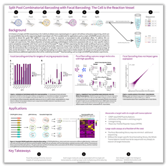 poster-Focal-Barcoding