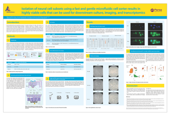 poster-isolation-of-neural-cell-subsets