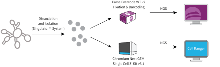 experimental-design (1)