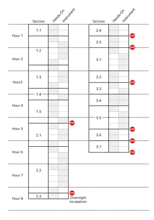 WT v3 workflow timing.jpg