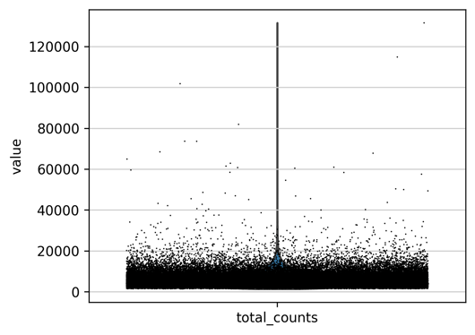 violin_total_counts.png