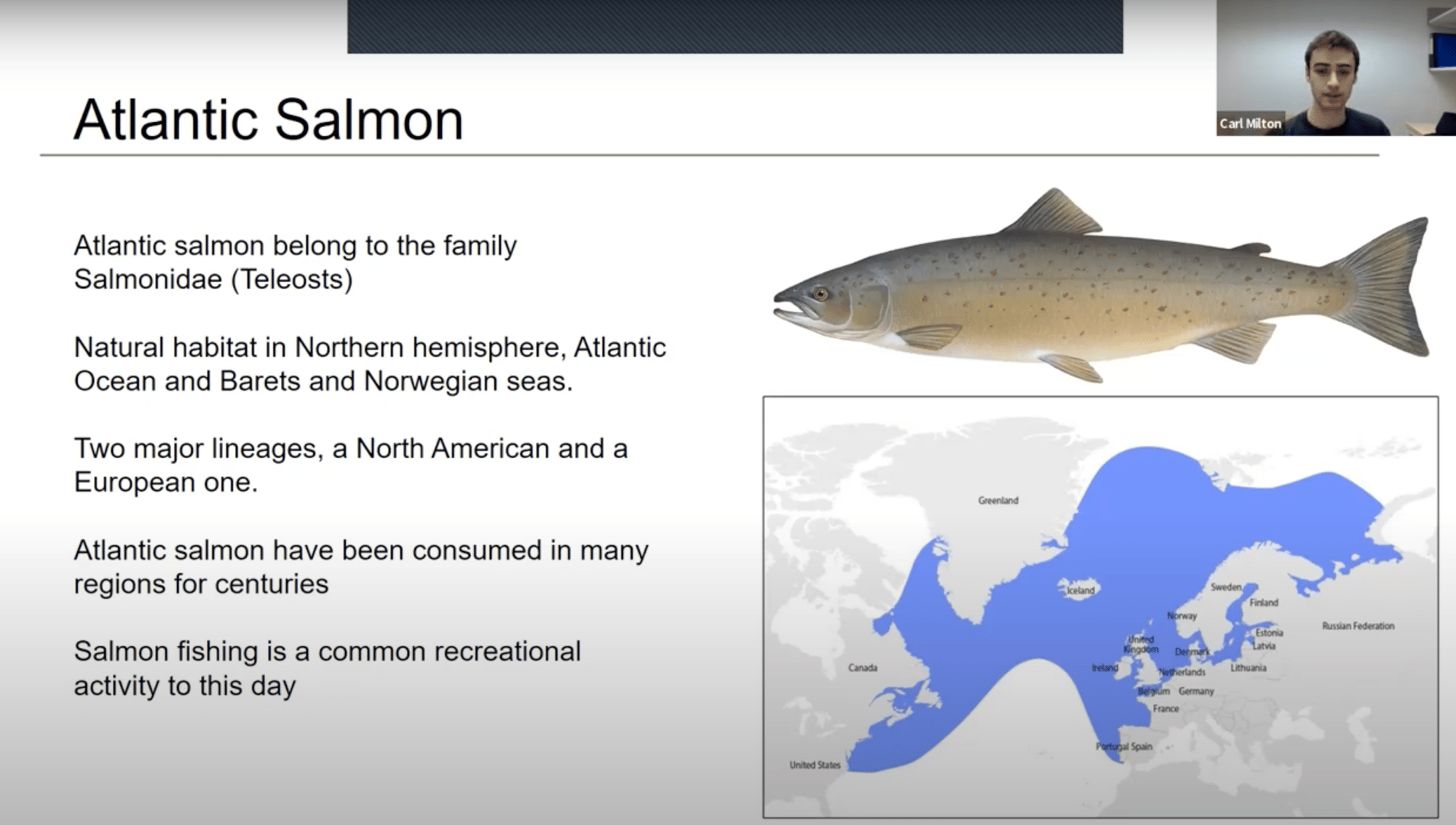 salmon-webinar-preview salmon-webinar-preview