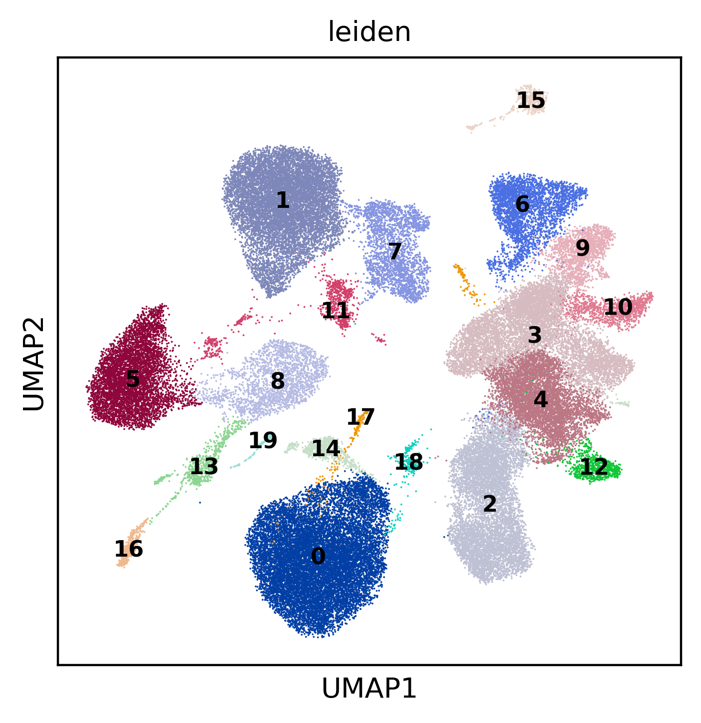 umap_leiden_lbl.png