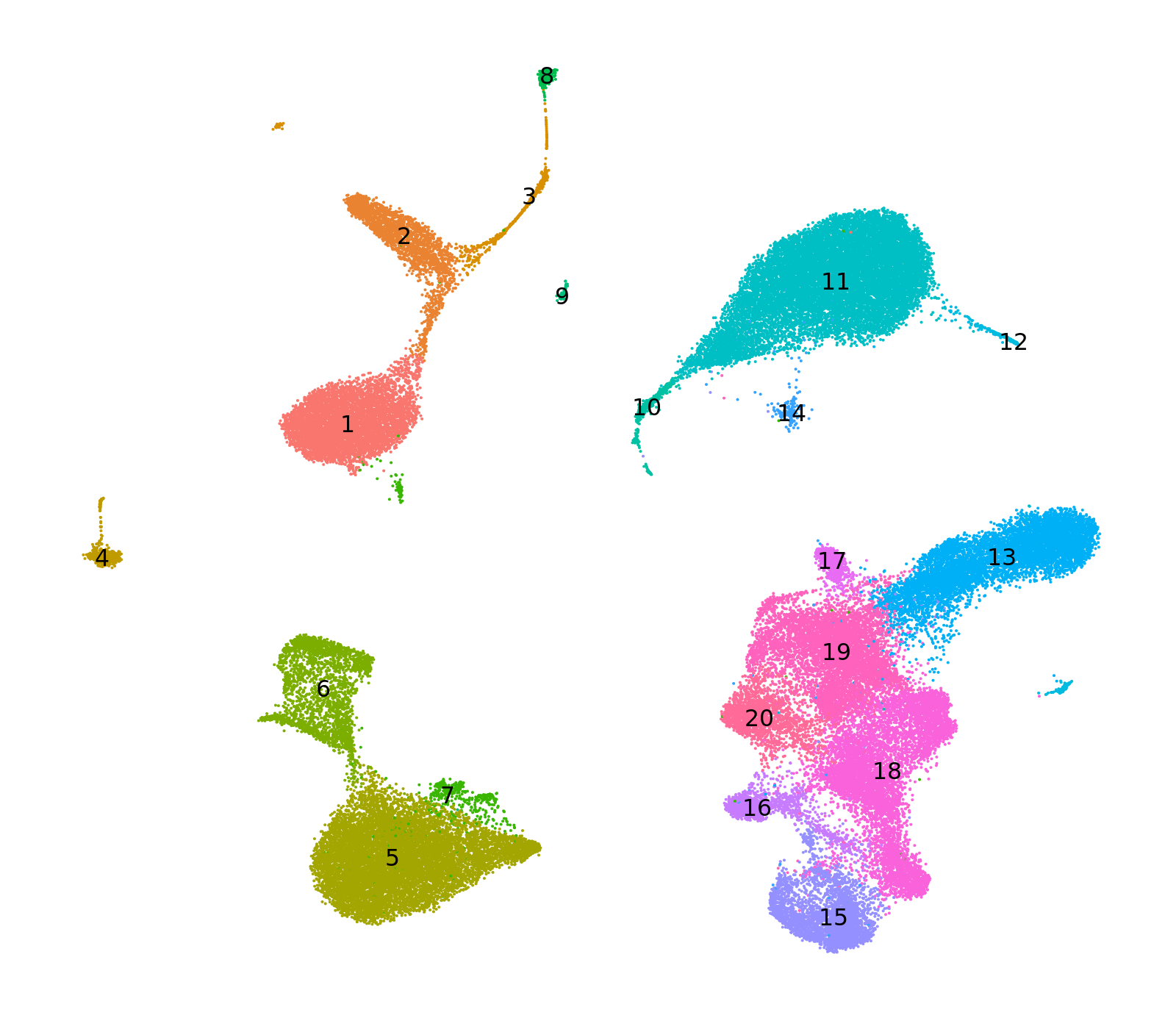 umap_louvain_nolegend.png